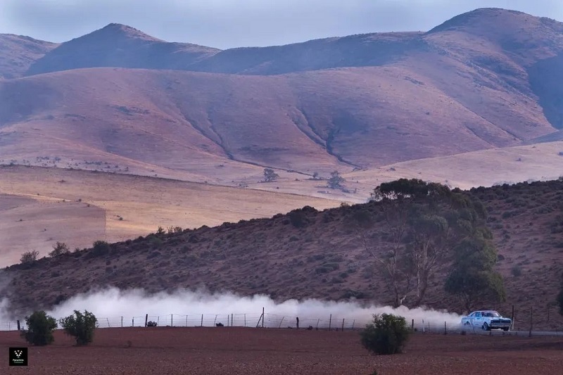 Rolling Hills of Burra, Rally of the Heartland, Holden Monaro, Classic Rally, V8 Muscle Cars